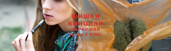 ешки Заводоуковск
