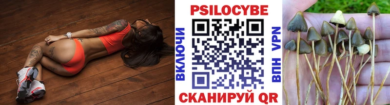 дарнет шоп  mega сайт  Псилоцибиновые грибы Magic Shrooms  Сковородино 