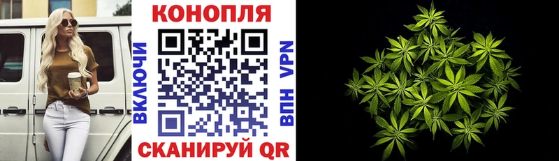 мега зеркало  Сковородино  Бошки марихуана индика  где купить наркотик 